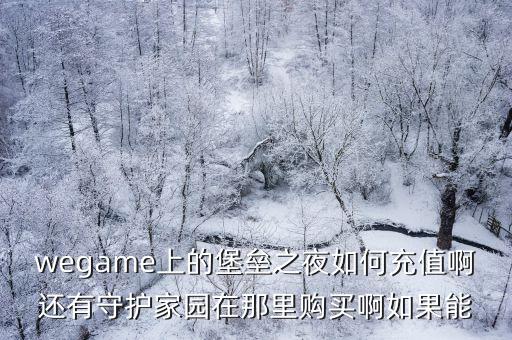 wegame上的堡垒之夜如何充值啊还有守护家园在那里购买啊如果能