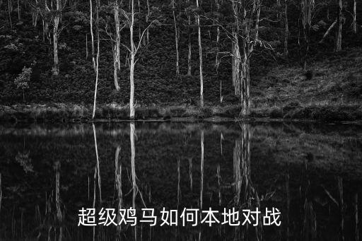 超级鸡马如何本地对战