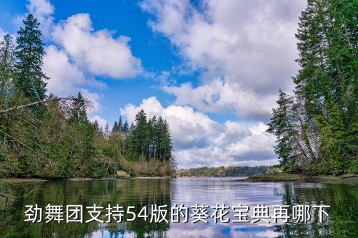 葵花宝典手游怎么下载，新葵花宝典
