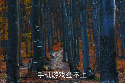 手机游戏登不上