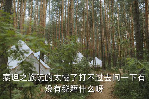 泰坦之旅玩的太慢了打不过去问一下有没有秘籍什么呀