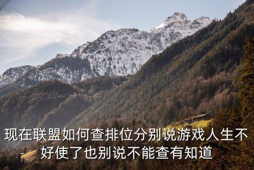 现在联盟如何查排位分别说游戏人生不好使了也别说不能查有知道