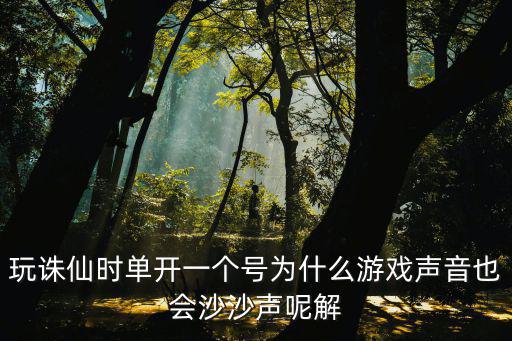 玩诛仙时单开一个号为什么游戏声音也会沙沙声呢解