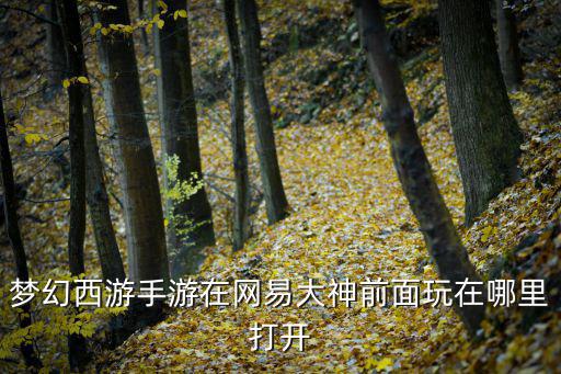 梦幻西游手游在网易大神前面玩在哪里打开