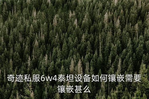 奇迹私服6w4泰坦设备如何镶嵌需要镶嵌甚么