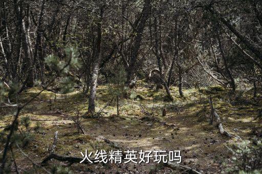 火线精英好玩吗