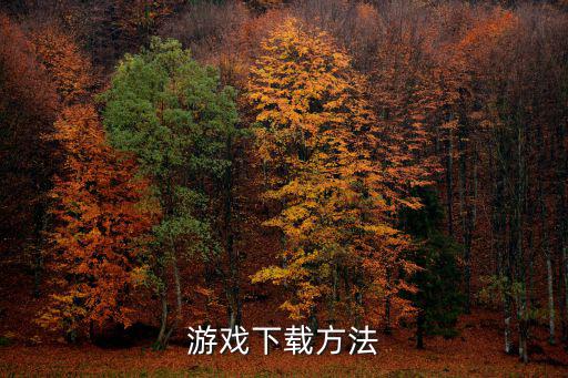 手游崩坏3怎么下载教程，游戏下载方法