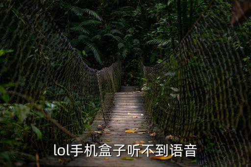 lol手机盒子听不到语音