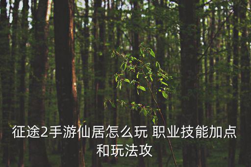 征途2手游仙居怎么玩 职业技能加点和玩法攻