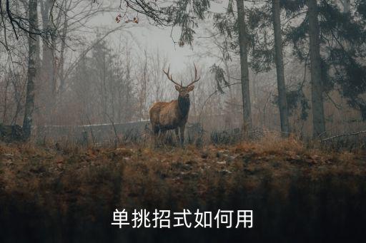 单挑招式如何用