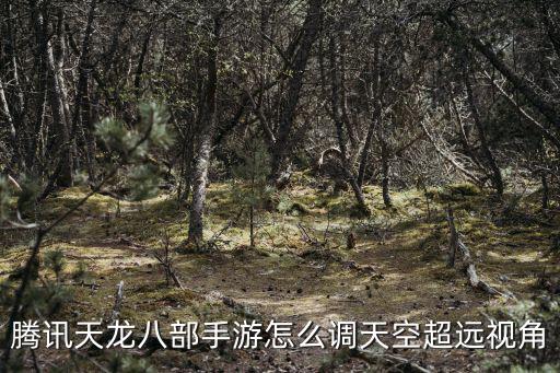 腾讯天龙八部手游怎么调天空超远视角