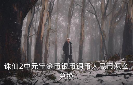 诛仙2中元宝金币银币铜币人民币怎么兑换