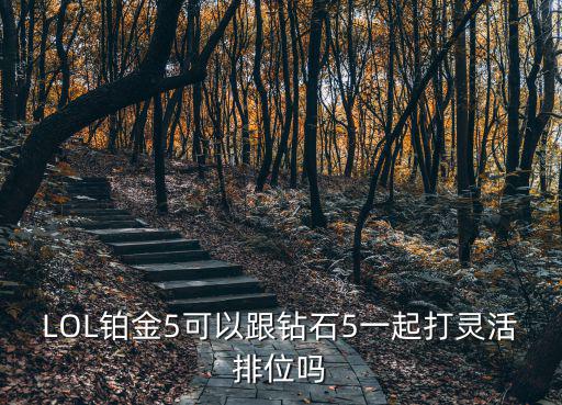LOL铂金5可以跟钻石5一起打灵活排位吗