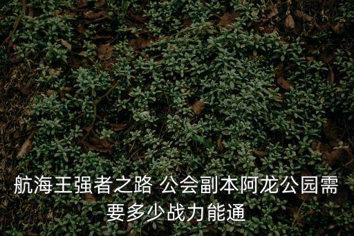 航海王强者之路 公会副本阿龙公园需要多少战力能通