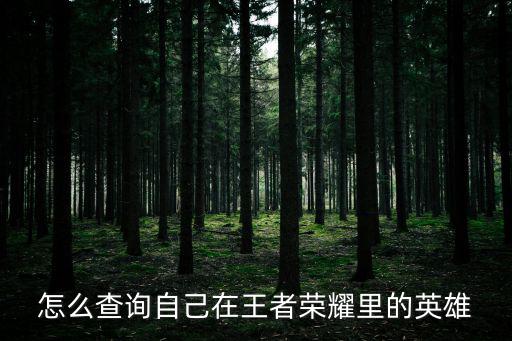手游怎么看自己英雄登记，怎么查英雄联盟游戏登陆记录