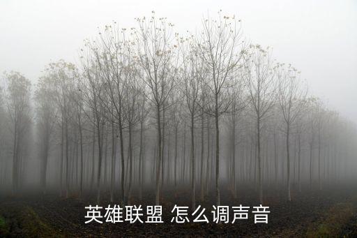 英雄联盟 怎么调声音