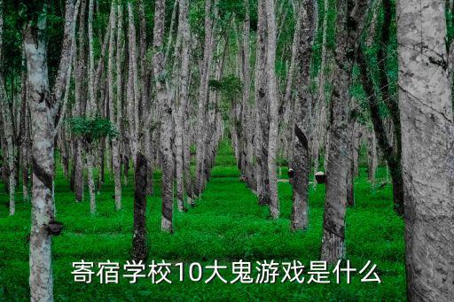 寄宿学校10大鬼游戏是什么