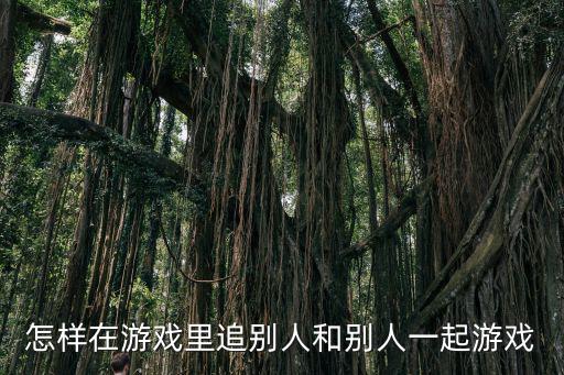 怎样在游戏里追别人和别人一起游戏