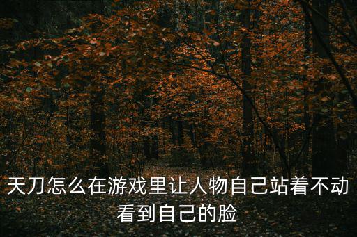 天刀怎么在游戏里让人物自己站着不动看到自己的脸