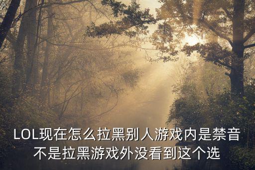 LOL现在怎么拉黑别人游戏内是禁音不是拉黑游戏外没看到这个选