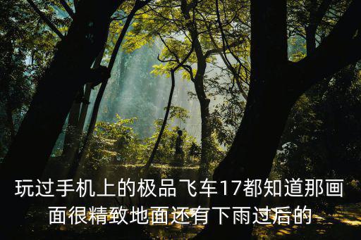 玩过手机上的极品飞车17都知道那画面很精致地面还有下雨过后的