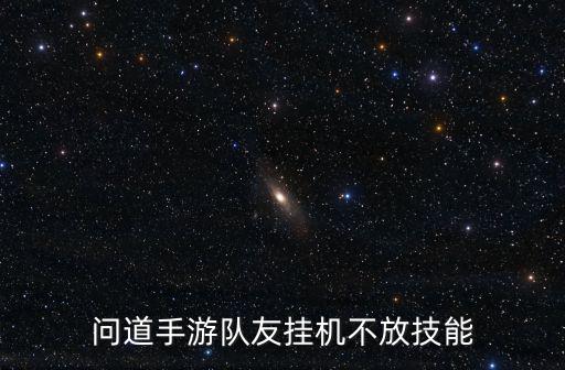 问道手游队友挂机不放技能怎么办，有什么设置能让队友不能对自己释放技能么