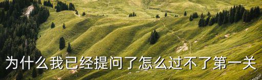 为什么我已经提问了怎么过不了第一关