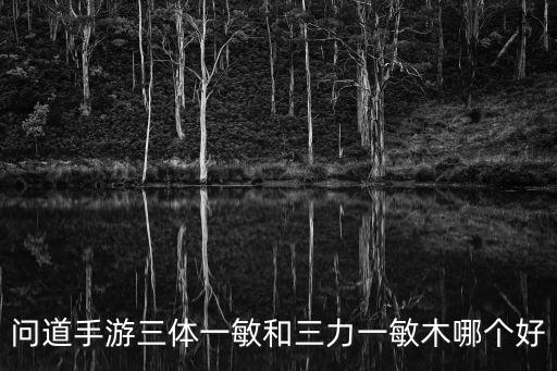 问道手游三体一敏和三力一敏木哪个好