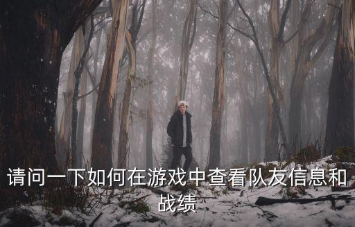 请问一下如何在游戏中查看队友信息和战绩