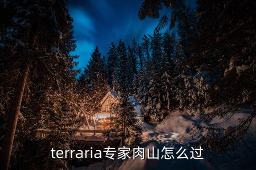 terraria专家肉山怎么过