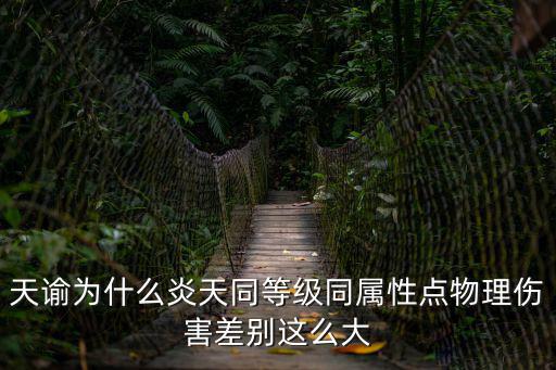 天谕为什么炎天同等级同属性点物理伤害差别这么大