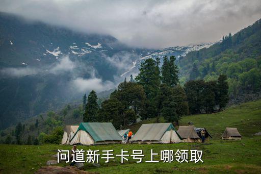 问道新手卡号上哪领取