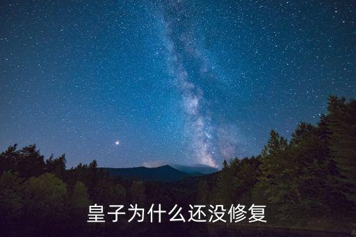 皇子为什么还没修复