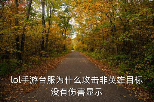 lol手游台服为什么攻击非英雄目标没有伤害显示