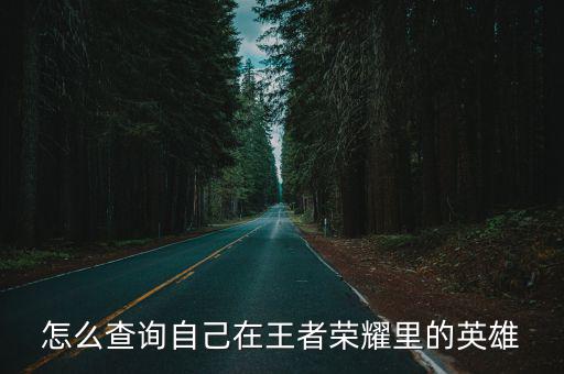 怎么查询自己在王者荣耀里的英雄