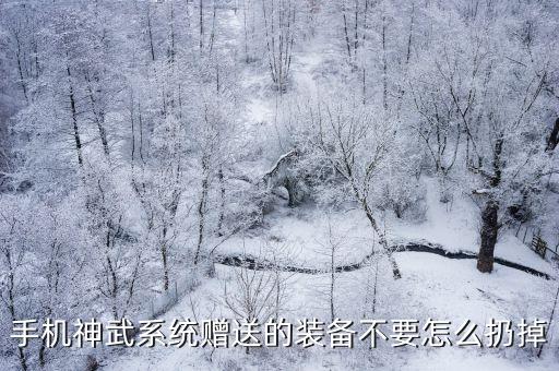 手机神武系统赠送的装备不要怎么扔掉