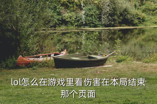 联盟手游结算怎么看伤害，lol怎么在游戏里看伤害在本局结束那个页面