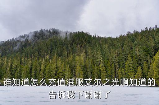 谁知道怎么充值港服艾尔之光啊知道的告诉我下谢谢了