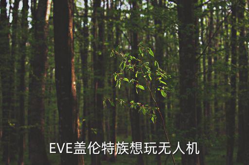EVE盖伦特族想玩无人机