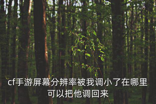cf手游屏幕分辨率被我调小了在哪里可以把他调回来