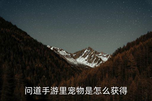 问道手游里宠物是怎么获得