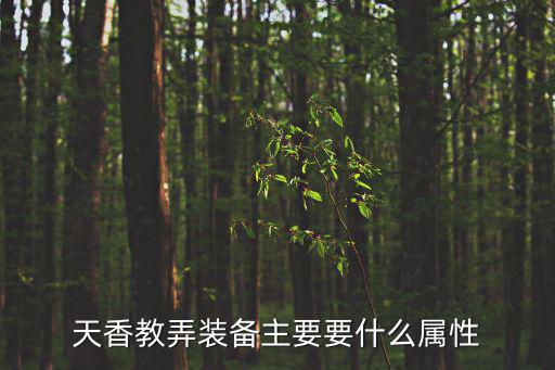 天香教弄装备主要要什么属性
