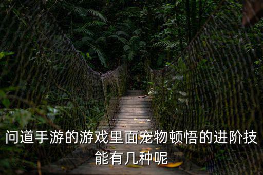 问道手游的游戏里面宠物顿悟的进阶技能有几种呢