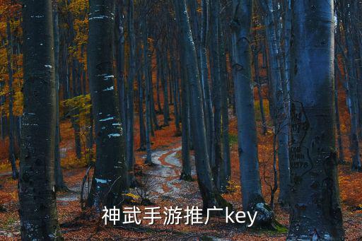 神武手游推广key