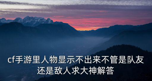 cf手游里人物显示不出来不管是队友还是敌人求大神解答