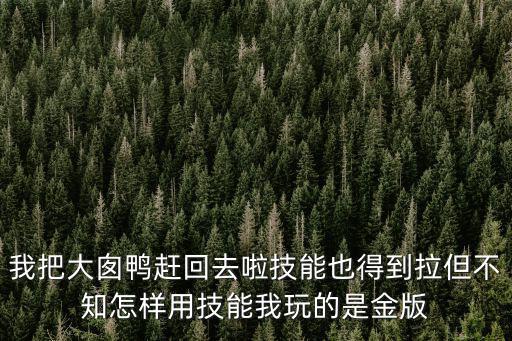 圣斗士星矢手游鸭脖怎么加技能，我把大囱鸭赶回去啦技能也得到拉但不知怎样用技能我玩的是金版