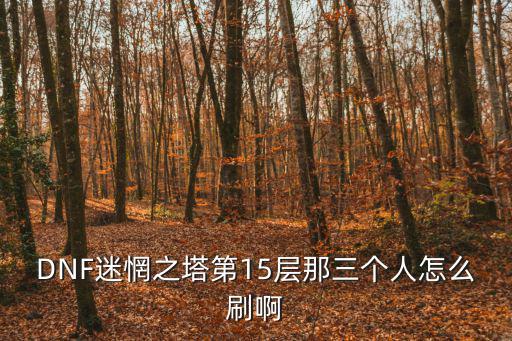 dnf手游迷茫之塔15层怎么刷，dnf迷妄之塔第15层怎么刷
