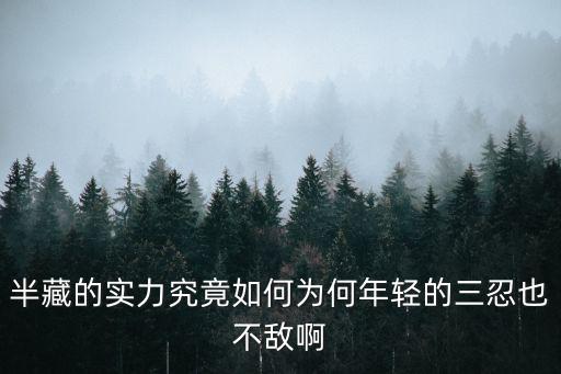 半藏的实力究竟如何为何年轻的三忍也不敌啊