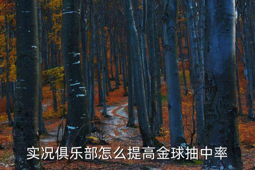 实况俱乐部怎么提高金球抽中率