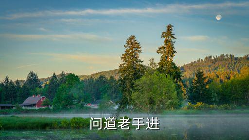 问道老手进